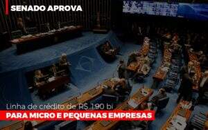 Senado Aprova Linha De Crédito De R$190 Bi Para Micro E Pequenas Empresas - Contabilidade na Zona Leste - SP | Peluso & Associados
