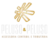 Image 2024 04 10t105952.311 - Contabilidade na Zona Leste - SP | Peluso & Associados