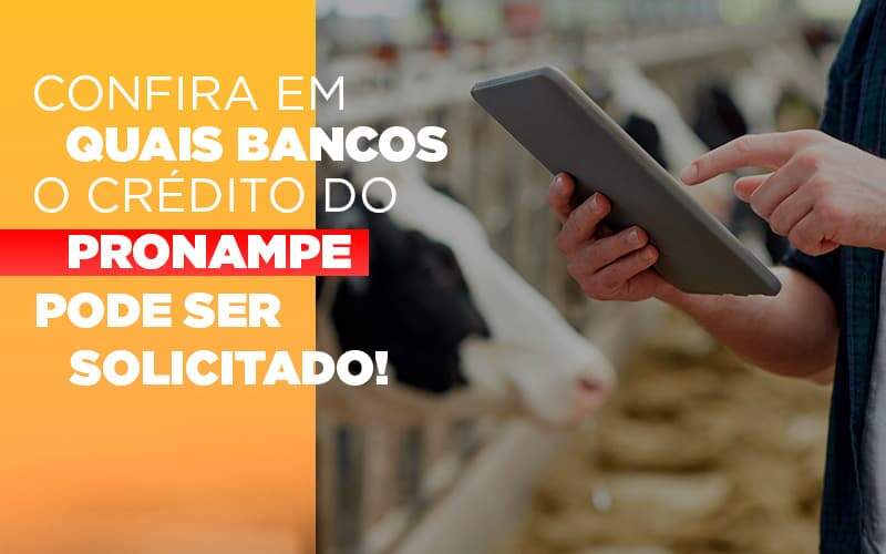 Confira Em Quais Bancos O Credito Pronampe Ja Pode Ser Solicitado - Contabilidade na Zona Leste - SP | Peluso & Associados