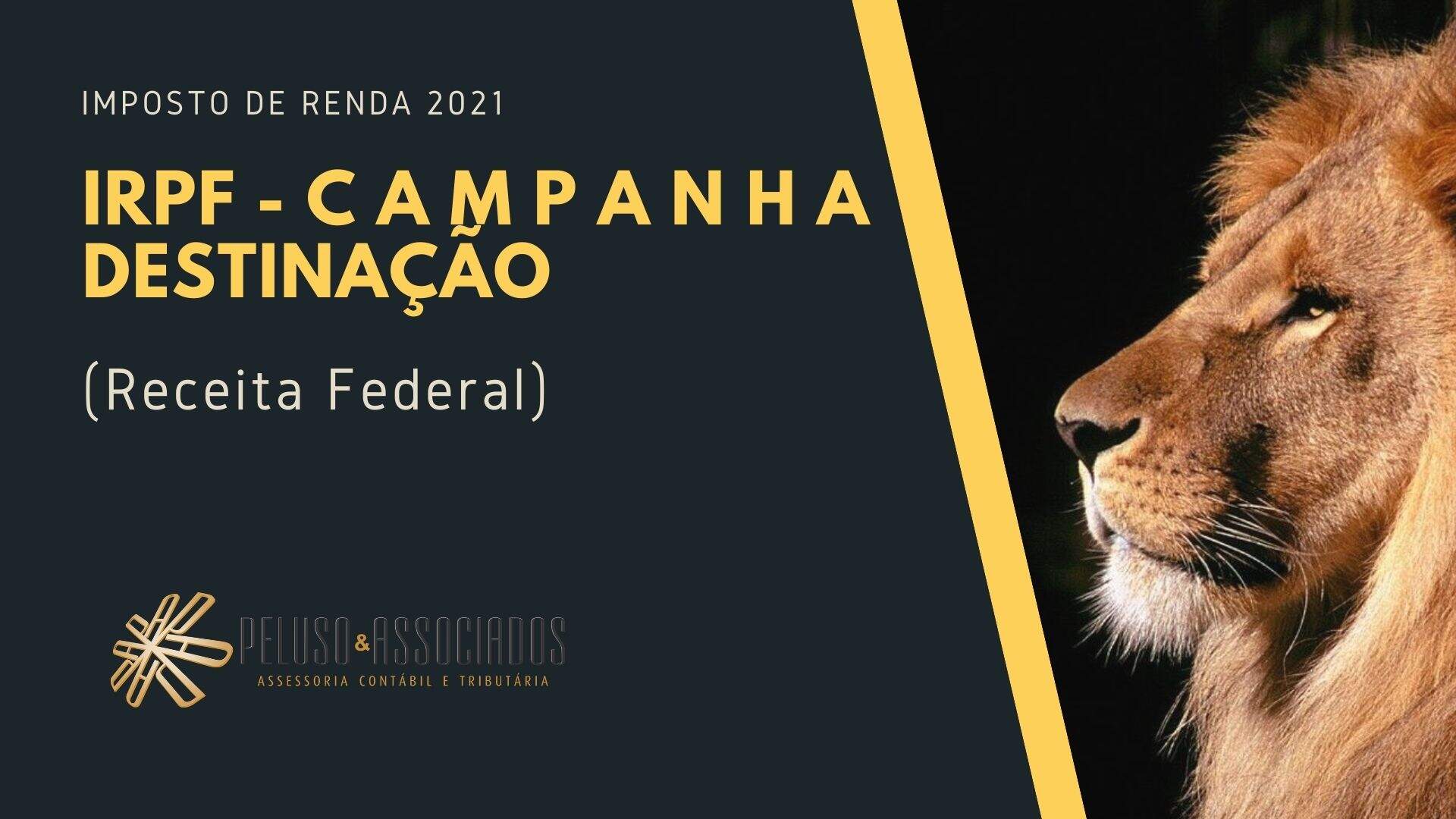 Roxo E Rosa Moderno Simples Trabalho Em Casa Apresentação (3) Blog Peluso - Contabilidade na Zona Leste - SP | Peluso & Associados