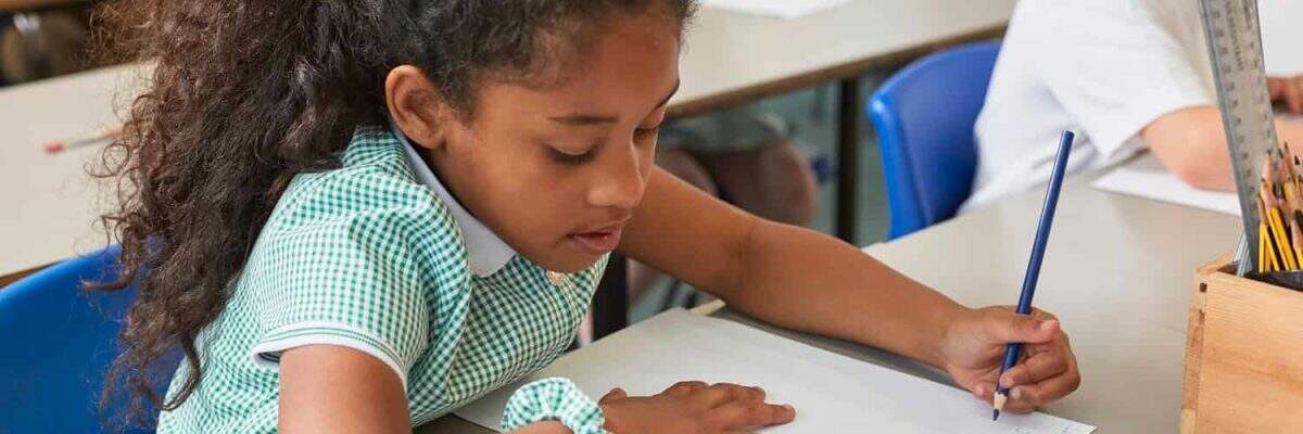 Emissão De Notas Fiscais Para Instituições De Ensino - Contabilidade na Zona Leste - SP | Peluso & Peluso