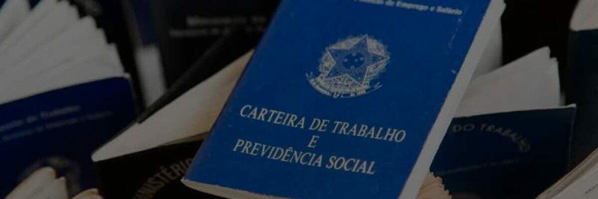 Medida Provisoria O Que Voce Empresa Precisa Saber - Contabilidade na Zona Leste - SP | Peluso & Associados
