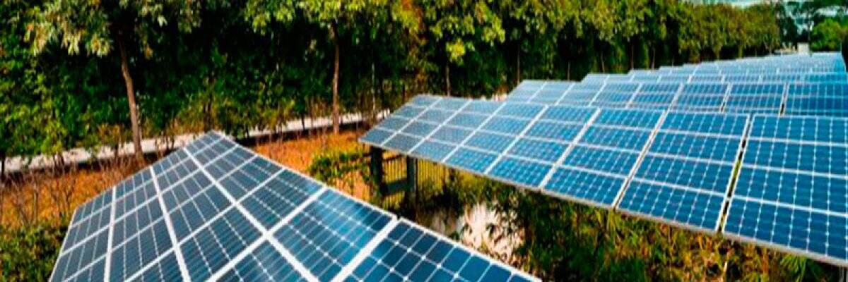 Sustentabilidade Empresarial2 - Contabilidade na Zona Leste - SP | Peluso & Associados